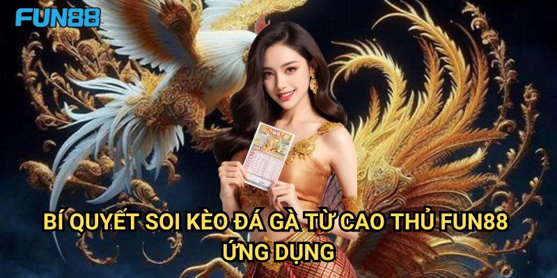 Bí quyết soi kèo đá gà từ cao thủ Fun88: Nghệ Thuật Nhận Định Chuyên Nghiệp 3 Bí quyết soi kèo đá gà từ cao thủ Fun88 - Ứng Dụng