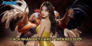 Cách nhận biết gà kèo trên kèo dưới Fun88: Nghệ Thuật Đọc Kèo Chuẩn Xác