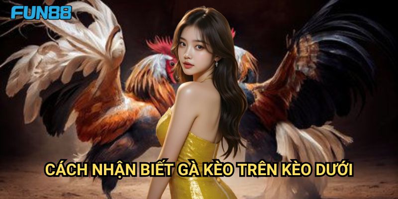 Cách nhận biết gà kèo trên kèo dưới Fun88: Nghệ Thuật Đọc Kèo Chuẩn Xác