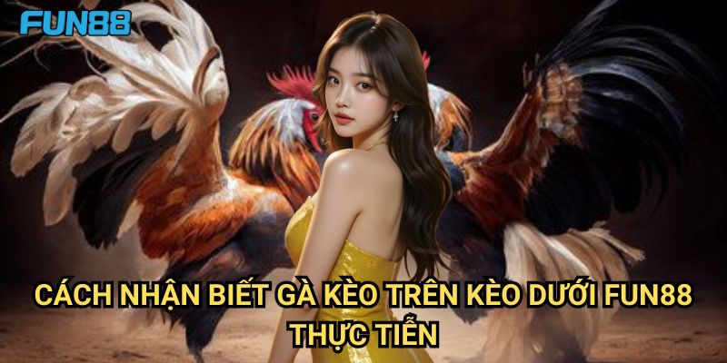 Cách nhận biết gà kèo trên kèo dưới Fun88: Nghệ Thuật Đọc Kèo Chuẩn Xác 3 Cách nhận biết gà kèo trên kèo dưới Fun88 - Thực Tiễn