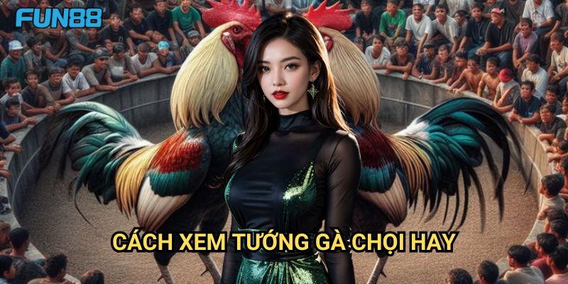 Cách xem tướng gà chọi hay Fun88: Nghệ Thuật Nhận Định Gà Chất