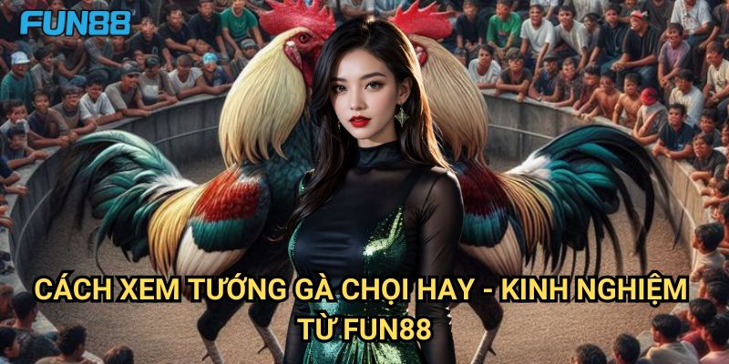 Cách xem tướng gà chọi hay Fun88: Nghệ Thuật Nhận Định Gà Chất 3 Cách xem tướng gà chọi hay - Kinh Nghiệm Từ Fun88