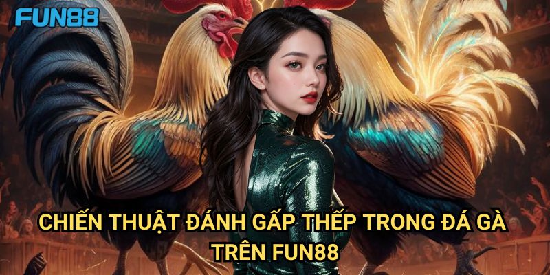Chiến thuật đánh gấp thếp trong đá gà Fun88: Phương Pháp Tăng Lợi Nhuận 3 Chiến thuật đánh gấp thếp trong đá gà Trên Fun88