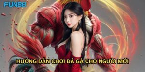 Hướng dẫn chơi đá gà cho người mới Fun88: Khởi Đầu Thuận Lợi