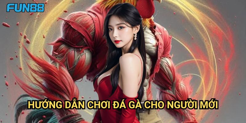 Hướng dẫn chơi đá gà cho người mới Fun88: Khởi Đầu Thuận Lợi