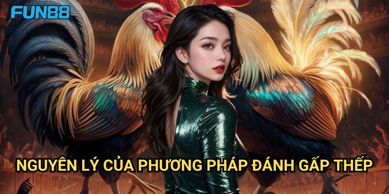 Chiến thuật đánh gấp thếp trong đá gà Fun88: Phương Pháp Tăng Lợi Nhuận 2 Nguyên Lý Của Phương Pháp Đánh Gấp Thếp
