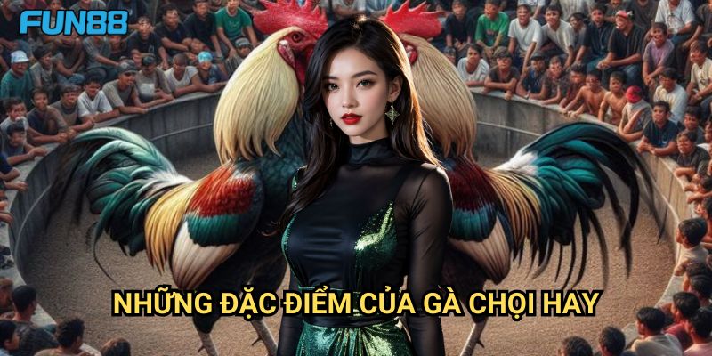 Cách xem tướng gà chọi hay Fun88: Nghệ Thuật Nhận Định Gà Chất 2 Những Đặc Điểm Của Gà Chọi Hay
